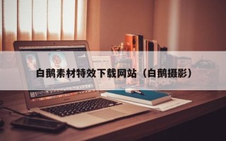 巴彦淖尔市白鹅素材特效下载网站（白鹅摄影）